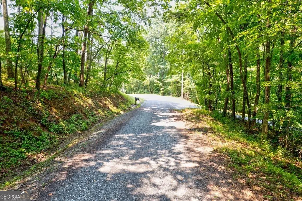 0 Shady Lane, Mineral Bluff, GA 30559 - #1