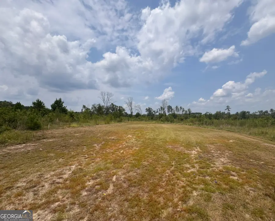 0 Rose Hollow Road, Lyons, GA 30436 - #3