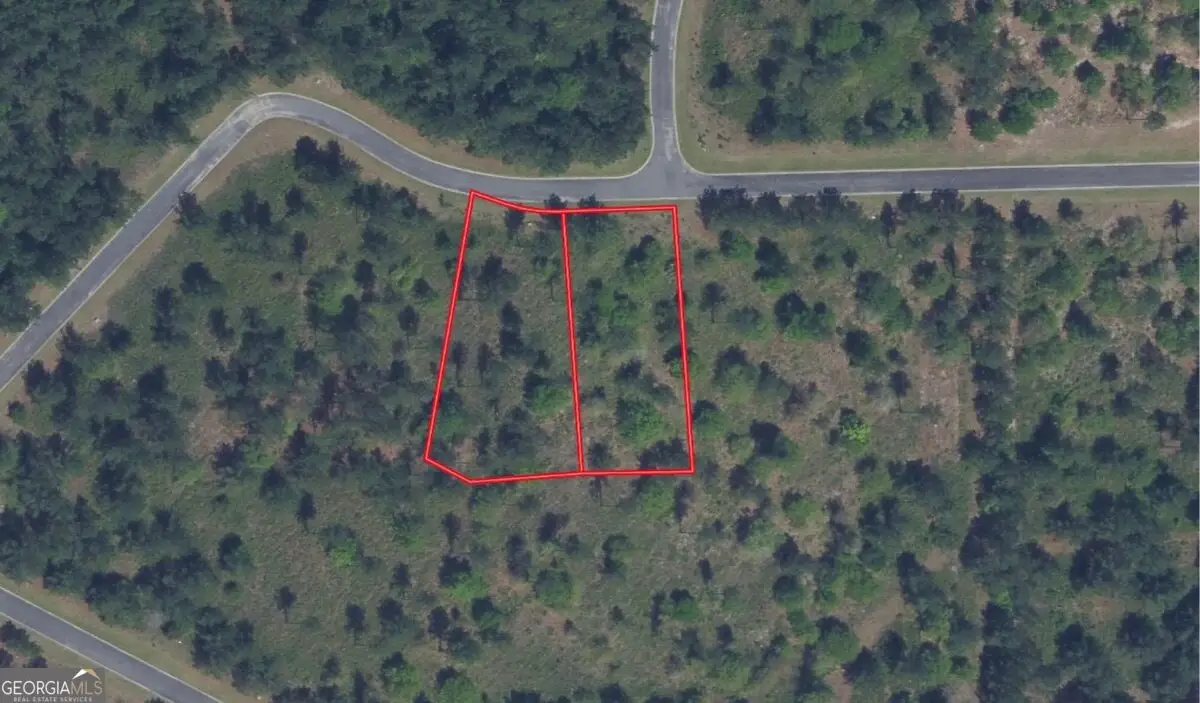 111 Big Horse Drive, Waynesville, GA 31566 - #1
