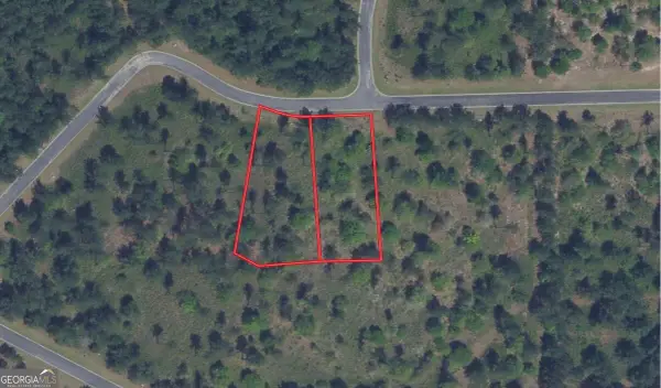 111 Big Horse Drive, Waynesville, GA 31566