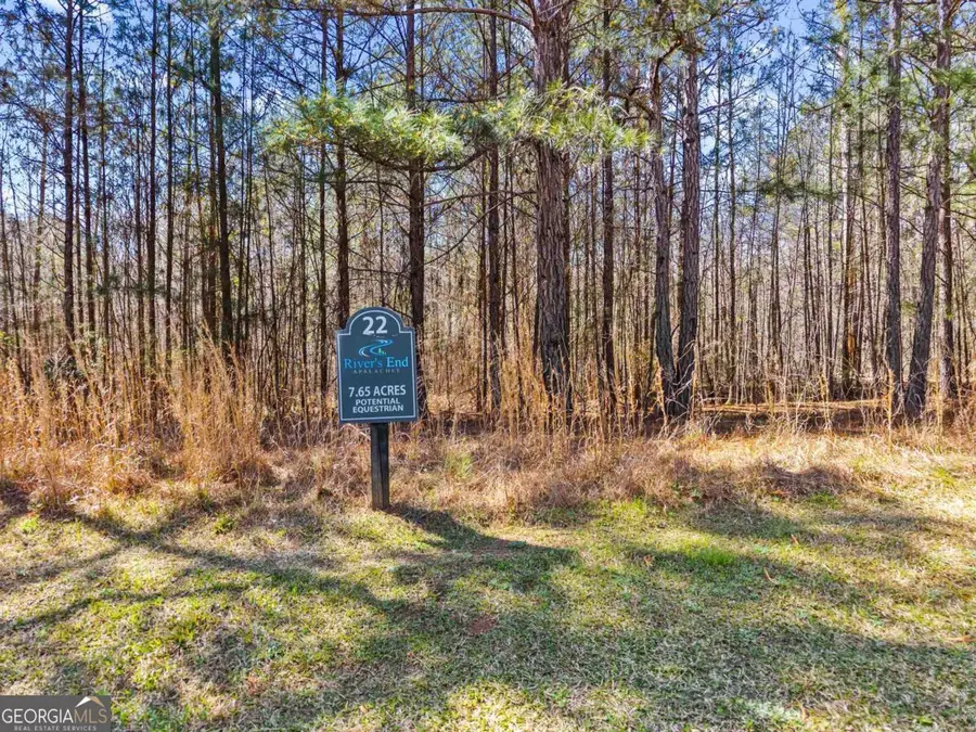 1091 Apalachee Ridge Ridge #APALACHEE RIDGE, Madison, GA 30650 - #3