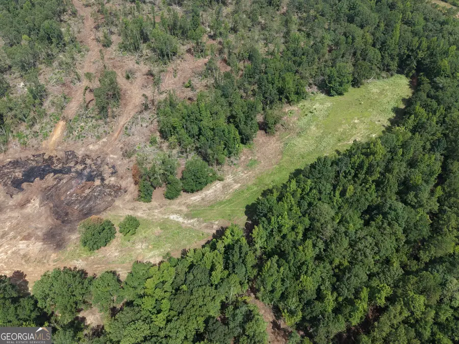 0 Highway 57, Irwinton, GA 31054 - #3