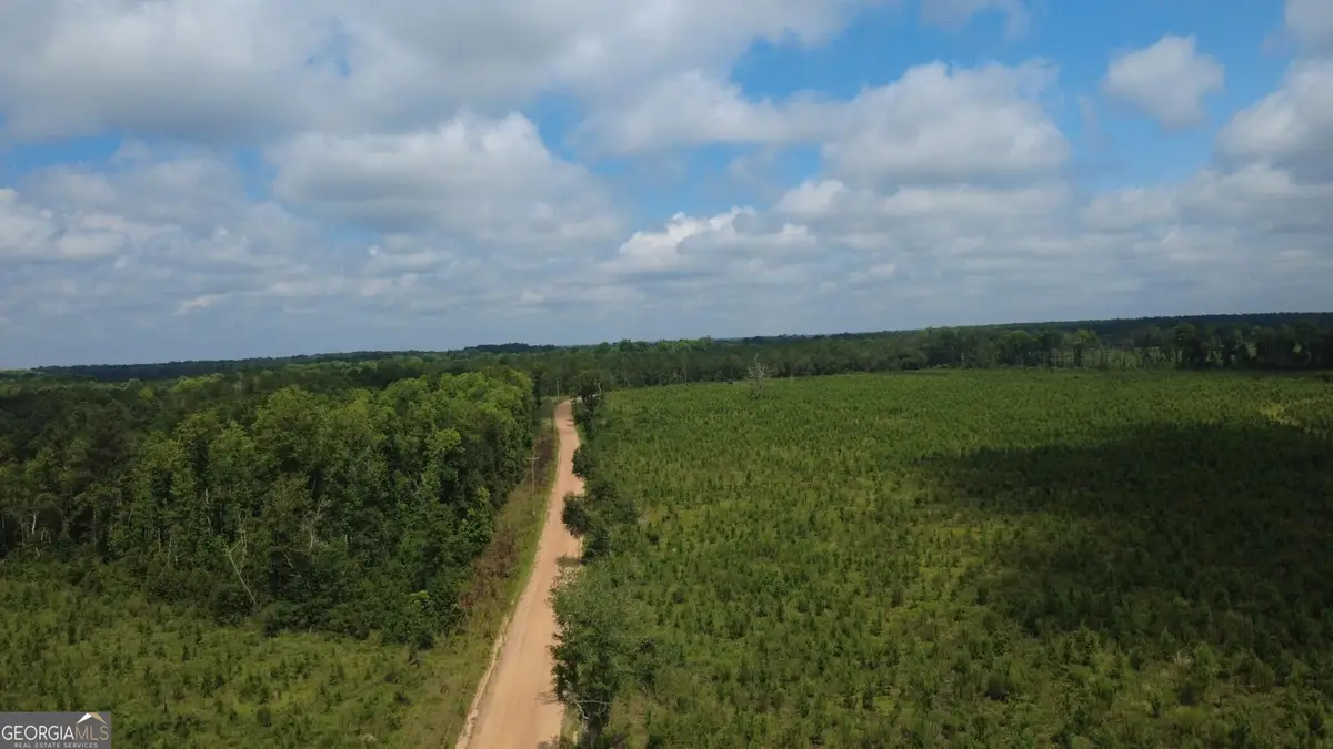 0 Sims Brothers Rd, Claxton, GA 30417 - #1