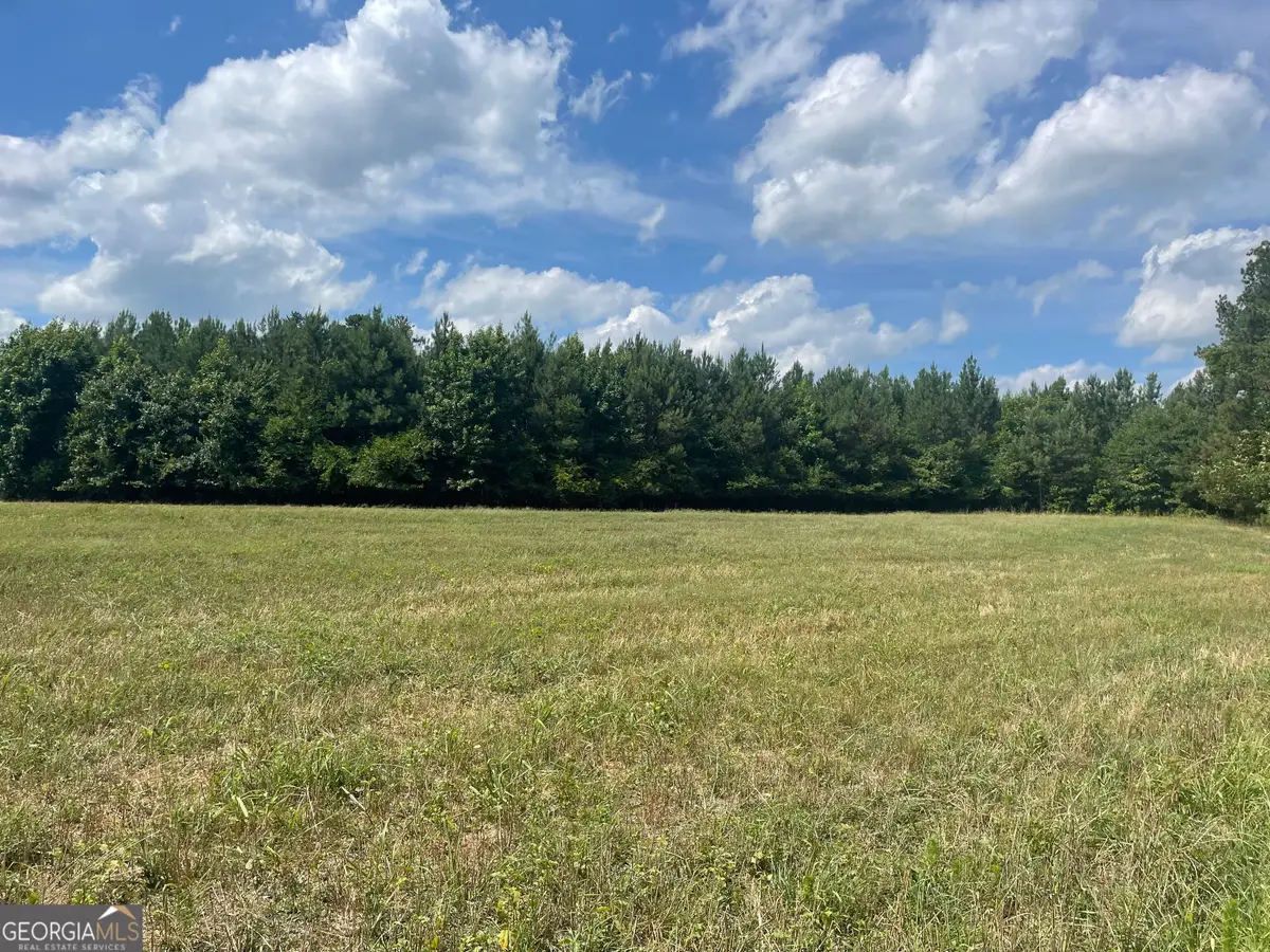 0 Cannon Road, Sharpsburg, GA 30277 - #1