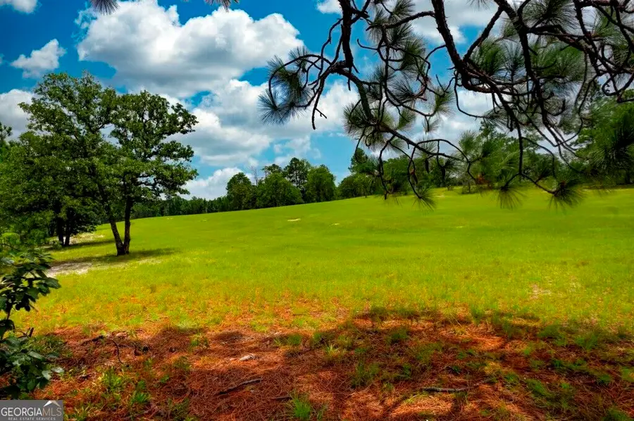 0 Ben Grady Collins Road, Portal, GA 30450 - #2