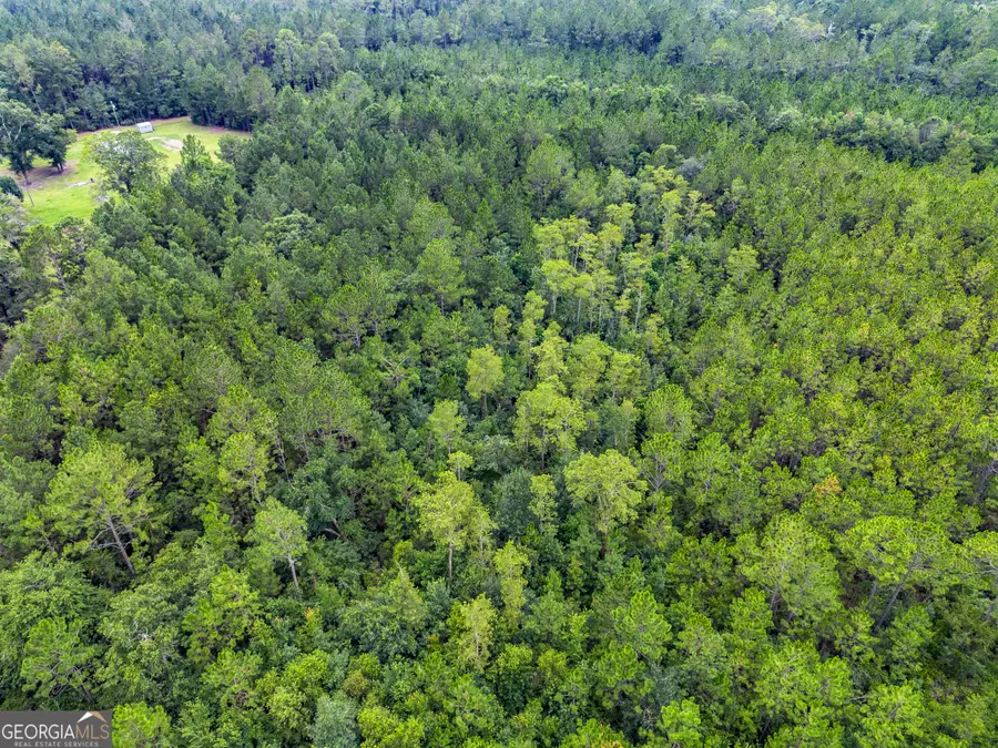 0 Morgan Road, Waycross, GA 31503 - #3