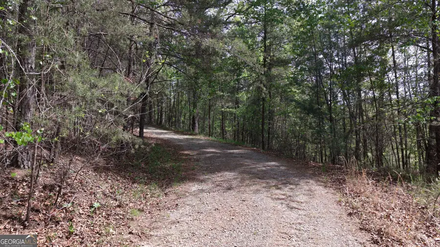 LOT 20 Horseshoe Bend Road, Dahlonega, GA 30533 - #3
