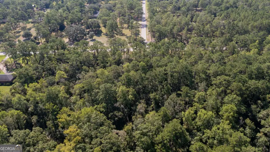 0 Highway 121 #5.54 +OR- ACRES, Folkston, GA 31537 - #3