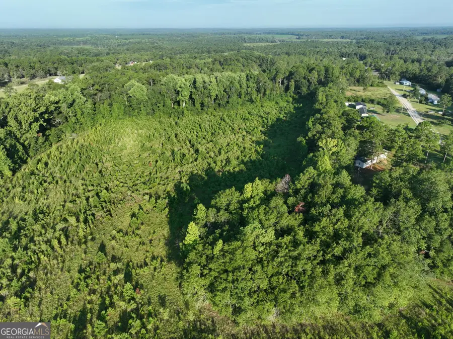 0 Ben Grady Collins Rd, Portal, GA 30450 - #3