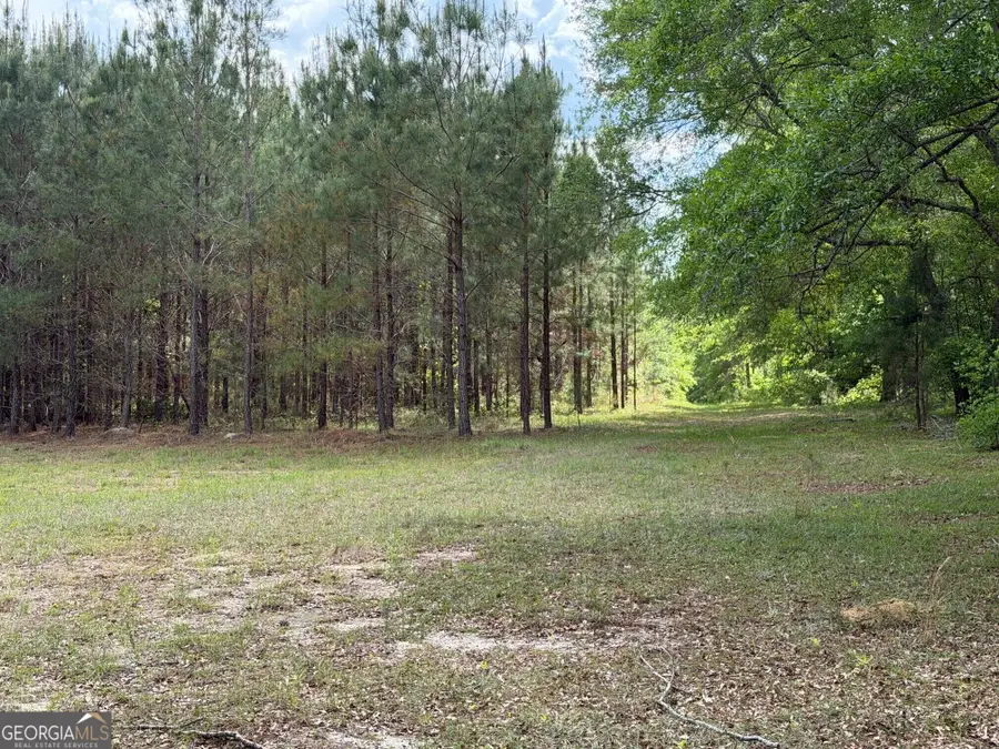 0 Roddy Highway, Eastman, GA 31023 - #2