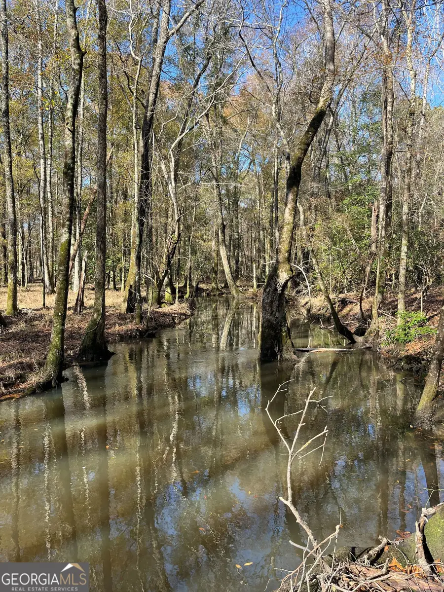 0 Roddy Highway, Eastman, GA 31023 - #3