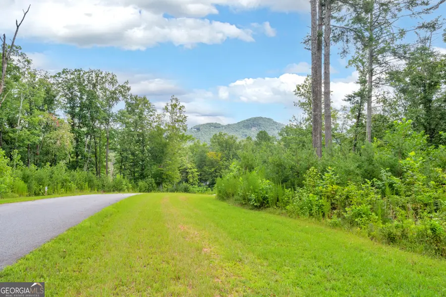 LOT 73 Leisure Mountain Trail, Sautee Nacoochee, GA 30571 - #2