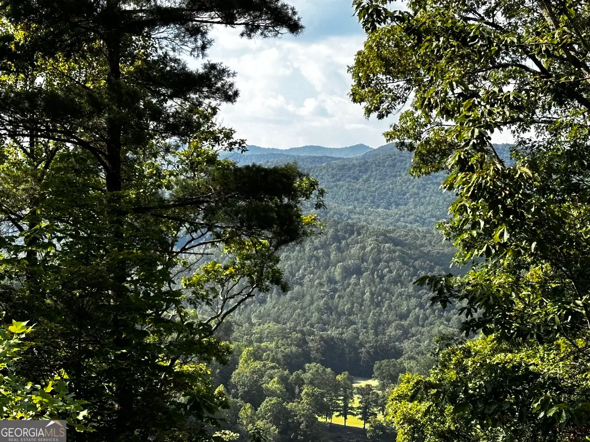 LOT J-12 Winterberry Trail, Clayton, GA 30525 - #1