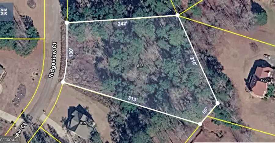 825 Ridgeview Court, Hampton, GA 30228 - #2
