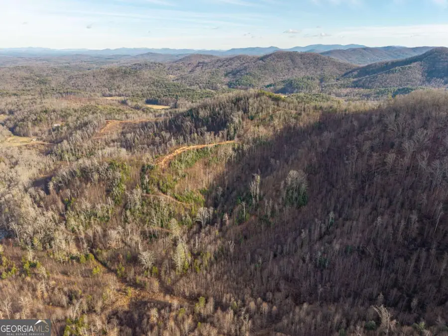 156+ Higdon Creek Road, Blue Ridge, GA 30513 - #3
