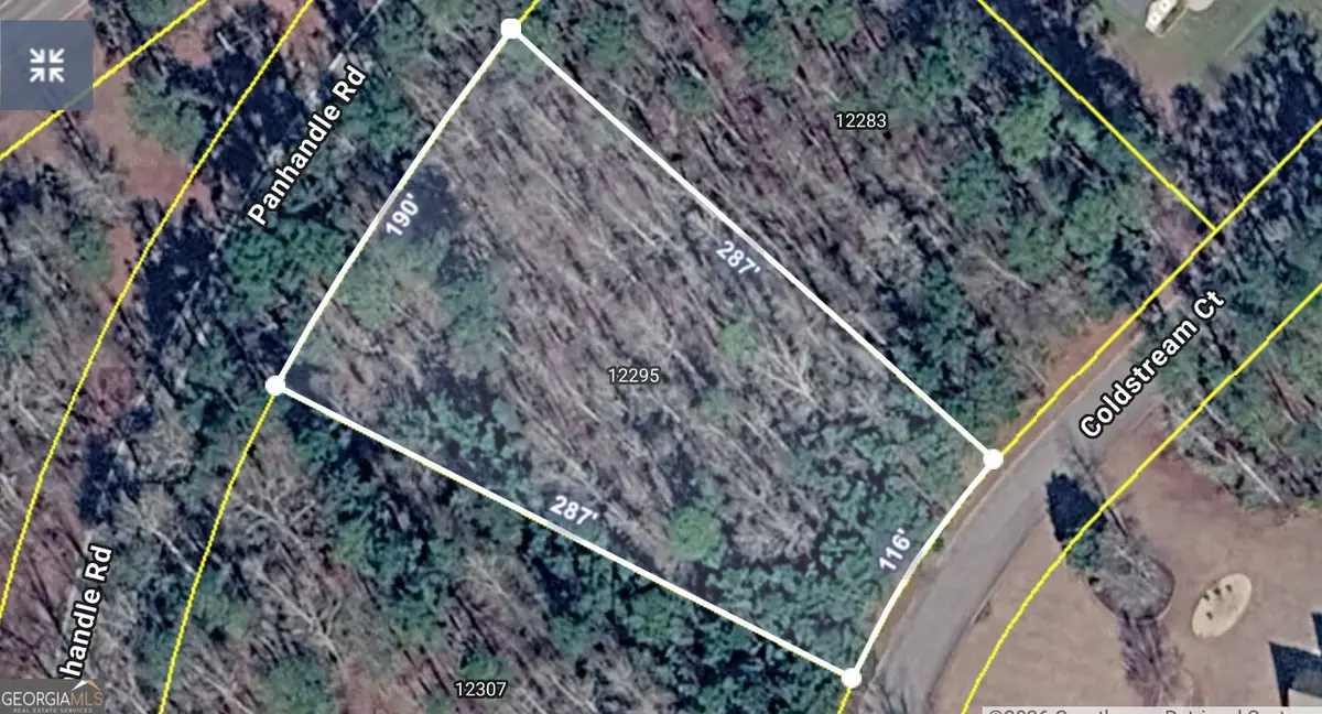 12295 Coldstream Court, Hampton, GA 30228 - #1