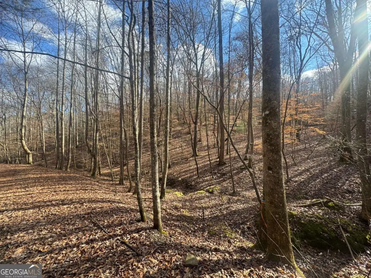 LOT 2750 Nimrod Court, Ellijay, GA 30540 - #1