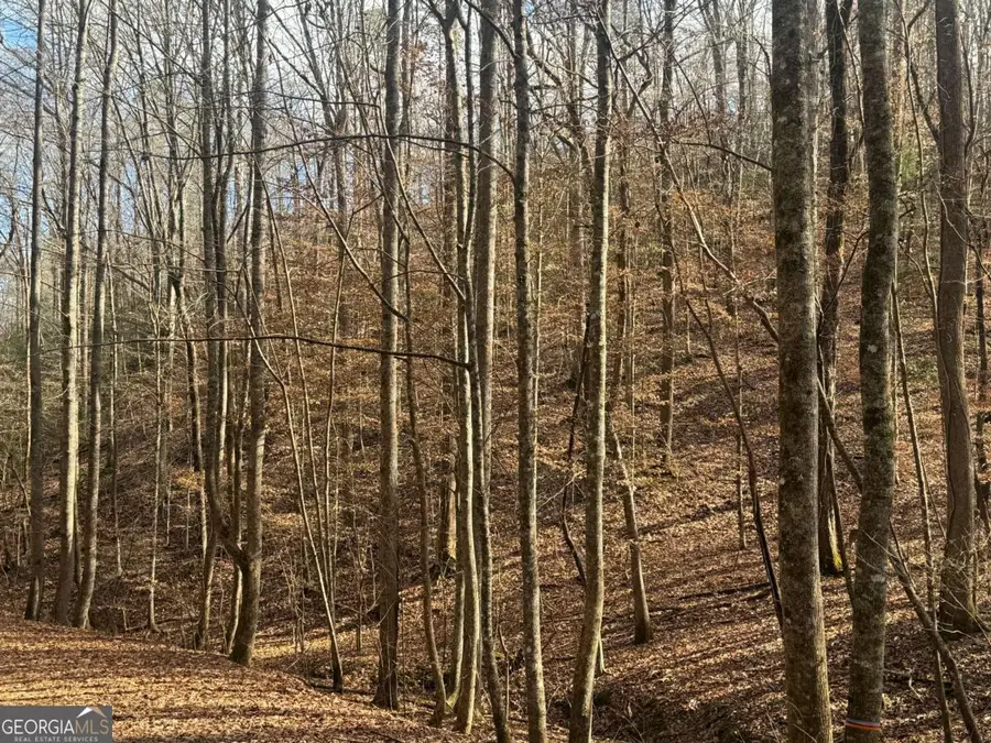 LOT 2750 Nimrod Court, Ellijay, GA 30540 - #2
