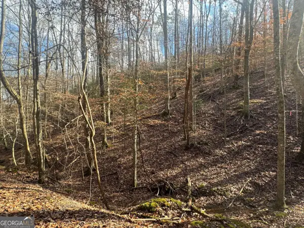 LOT 2749 Nimrod Court, Ellijay, GA 30540