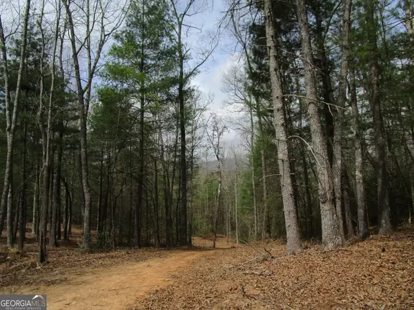 0 East New Hope Road #TRACT B, Ellijay, GA 30536