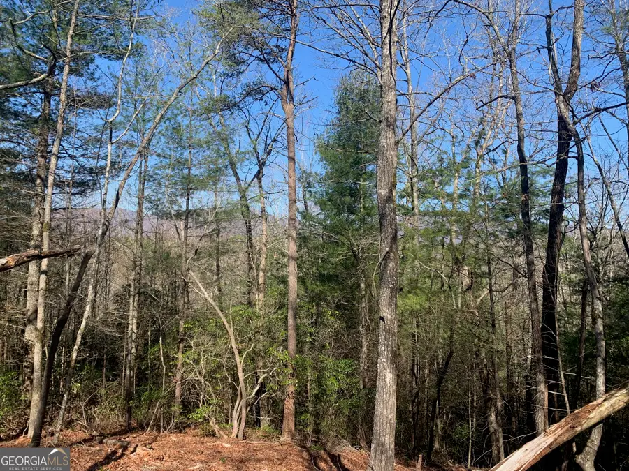 0 East New Hope Road #TRACT B, Ellijay, GA 30536 - #3