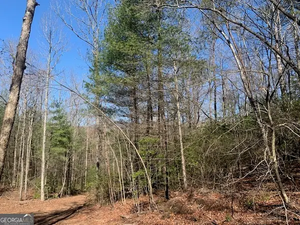 0 East New Hope Road #TRACT A, Ellijay, GA 30536