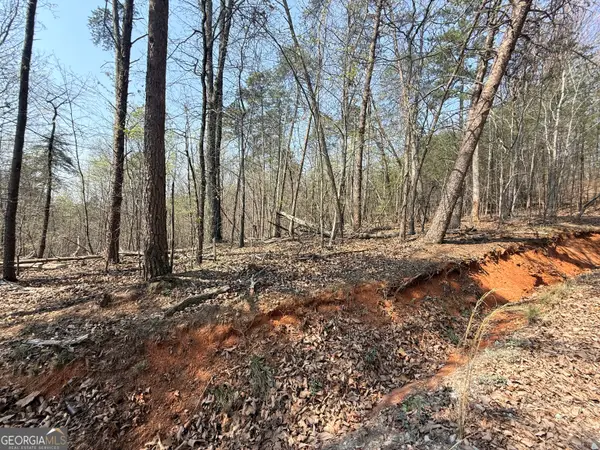 TRACT A Baldwin Heights Road, Baldwin, GA 30511