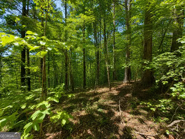1652 Sable Court, Talking Rock, GA 30175