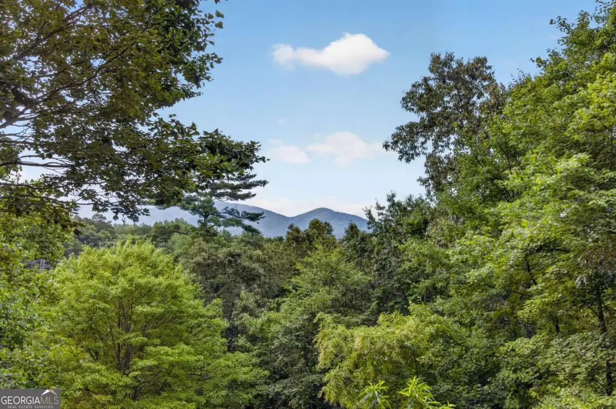 293 Weoka Court, Ellijay, GA 30540 - #1