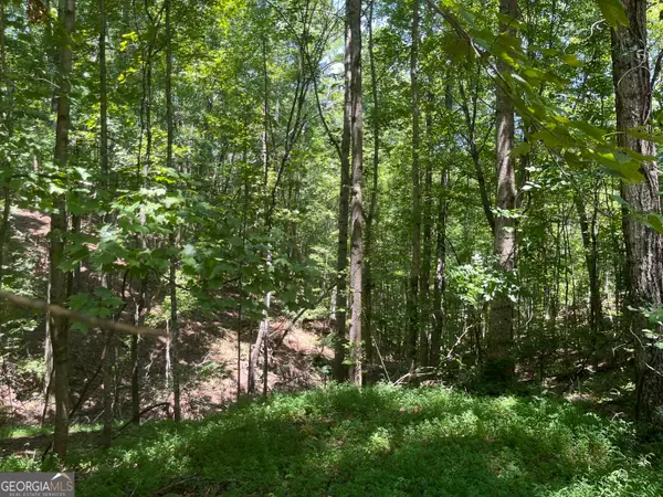 N/A S Twin Oaks Drive, Ellijay, GA 30540