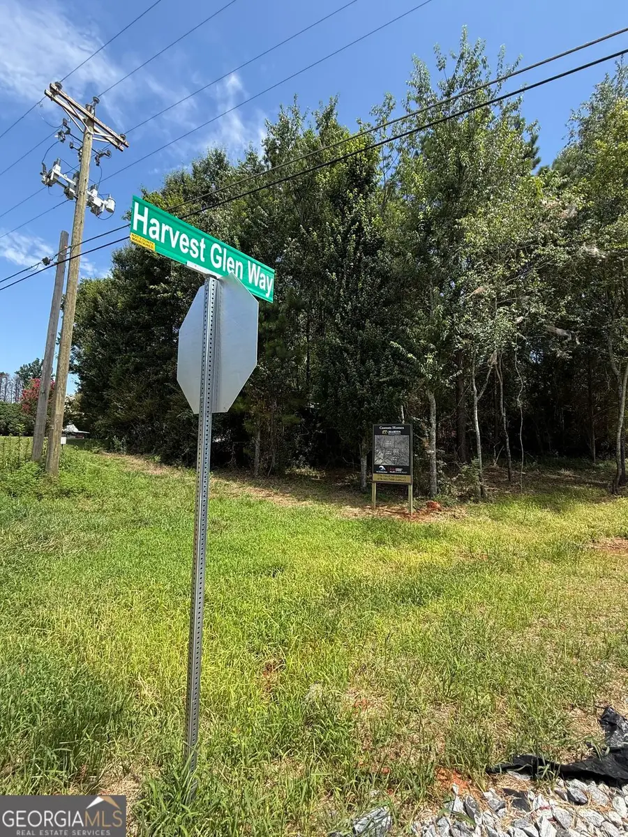 0 Harvest Glen Way #TRACT 2, Gainesville, GA 30506 - #3