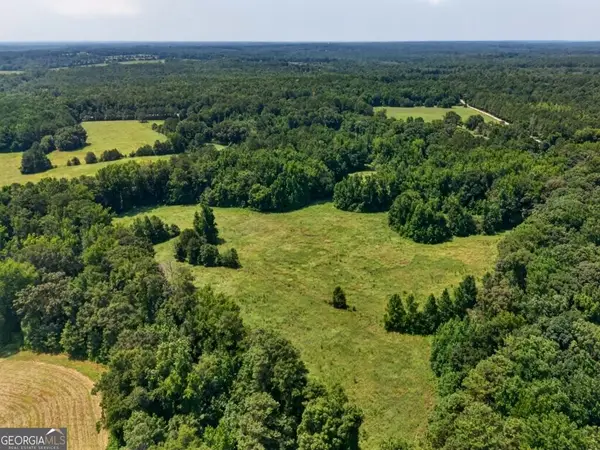 1744 Alexander Road, Monticello, GA 31064