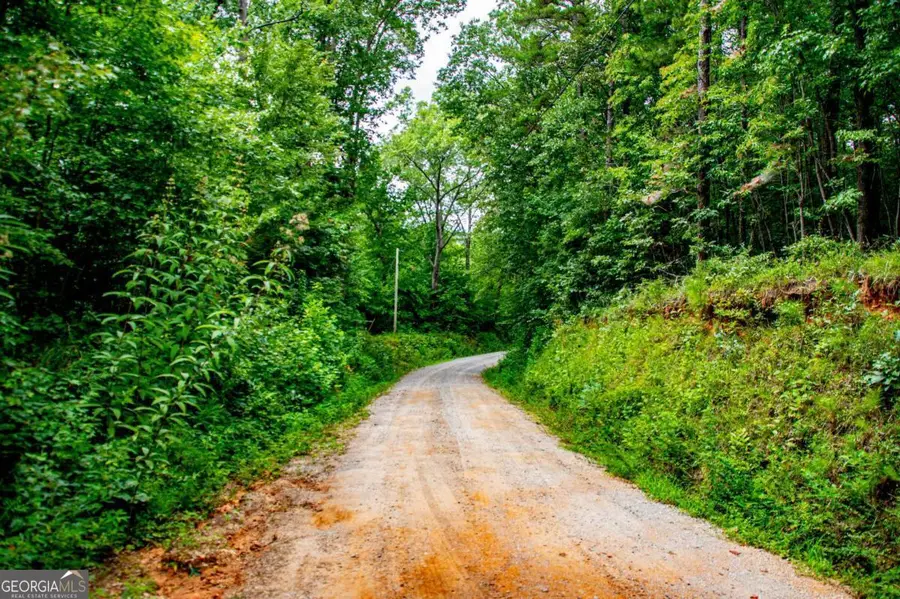 0 Goolsby Rd Road, Carrollton, GA 30117 - #3