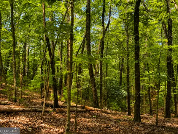 J208 Pine Ridge Road, Ellijay, GA 30536