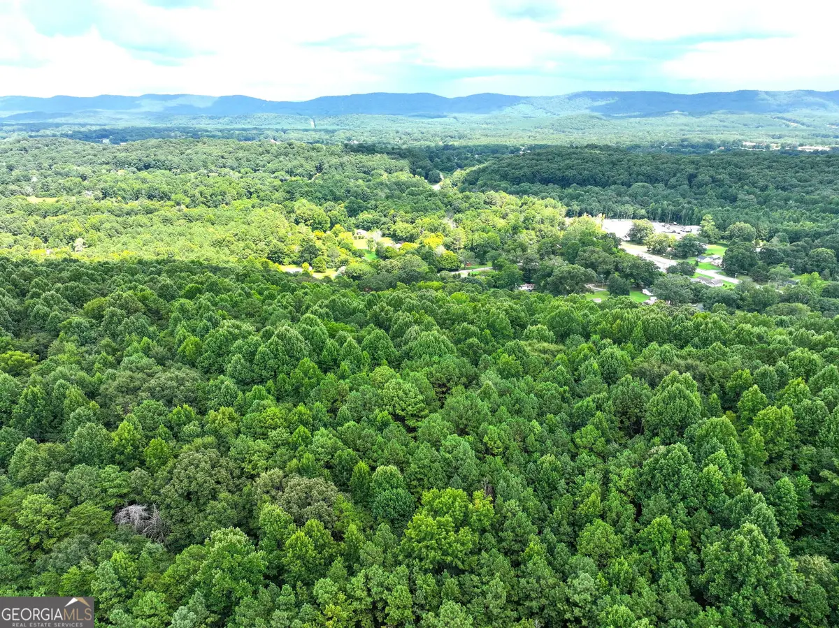 74 +/- Acres On Raccoon Road, Summerville, GA 30747 - #1