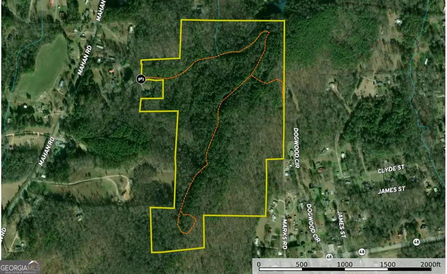 74 +/- Acres On Raccoon Road, Summerville, GA 30747 - #2