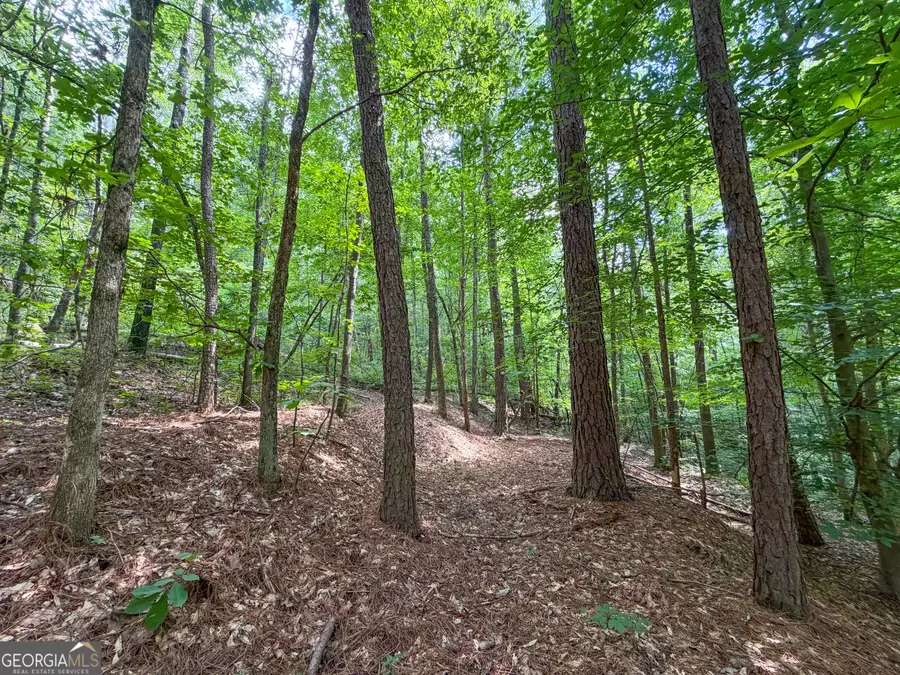 74 +/- Acres On Raccoon Road, Summerville, GA 30747 - #3