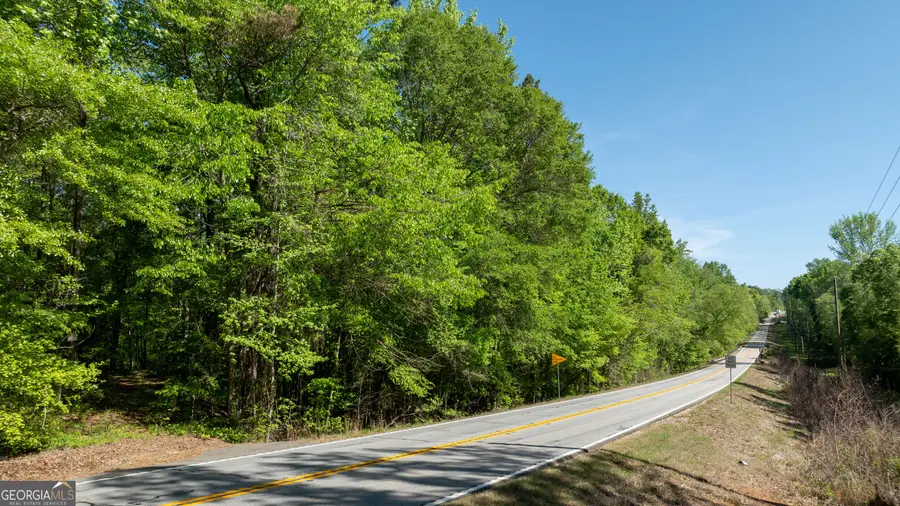 0 Highway 54 #10.95+/- AC, Senoia, GA 30276 - #2