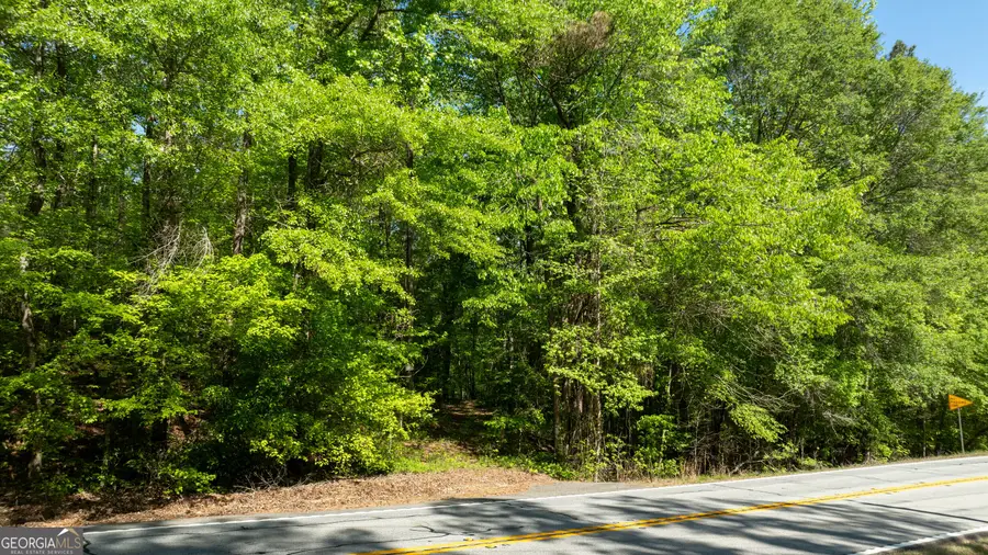0 Highway 54 #10.95+/- AC, Senoia, GA 30276 - #3