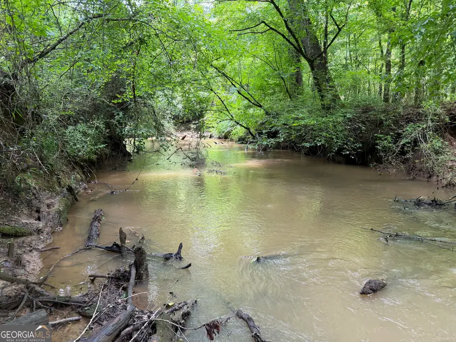 +/- 190 AC Bevis Road, Franklin, GA 30217 - #3