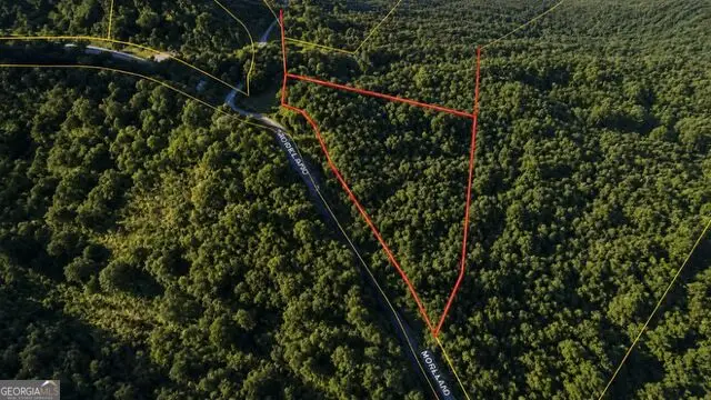 0 Roaring Forks Lane, Ellijay, GA 30540 - #2