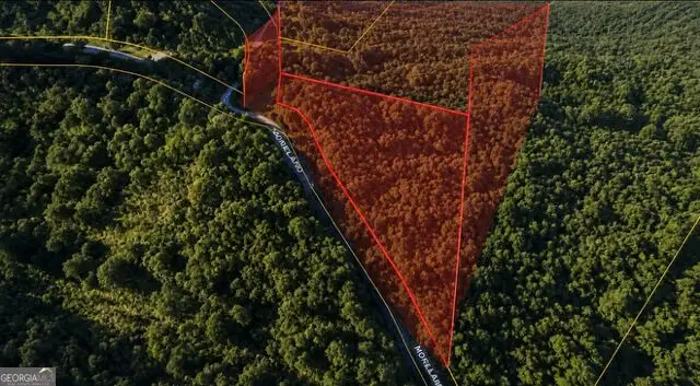 0 Roaring Forks Lane, Ellijay, GA 30540 - #3