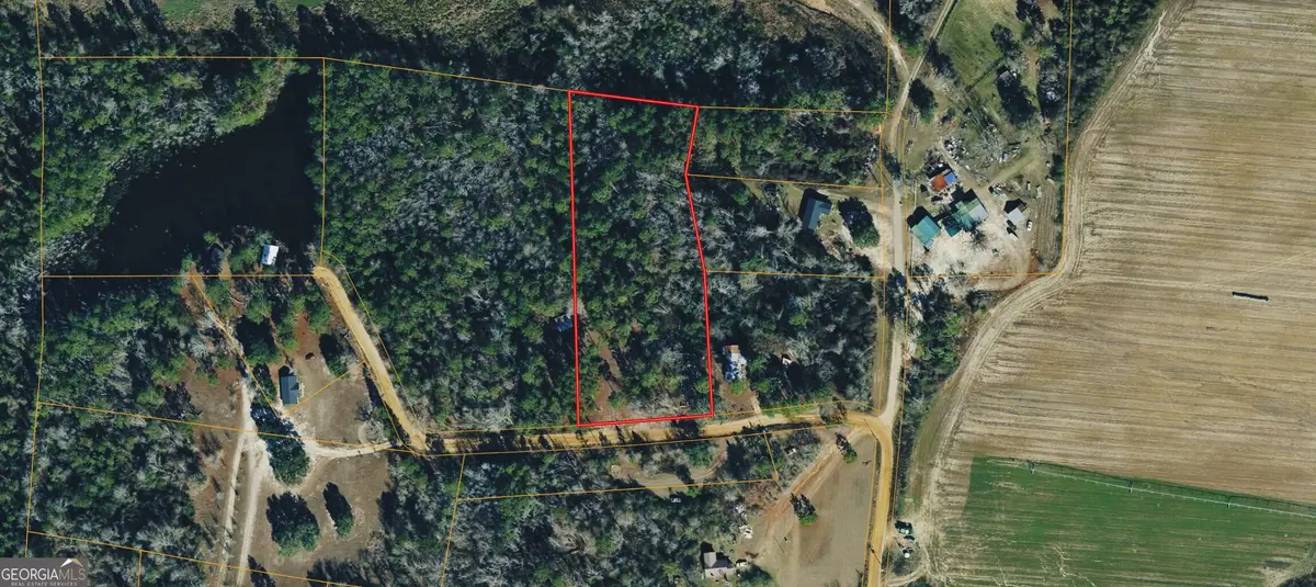 199 Eastman Paulk Road, Ambrose, GA 31512 - #1