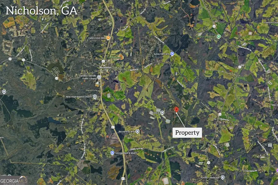 1660 Watkins Farm Road, Nicholson, GA 30565 - #3