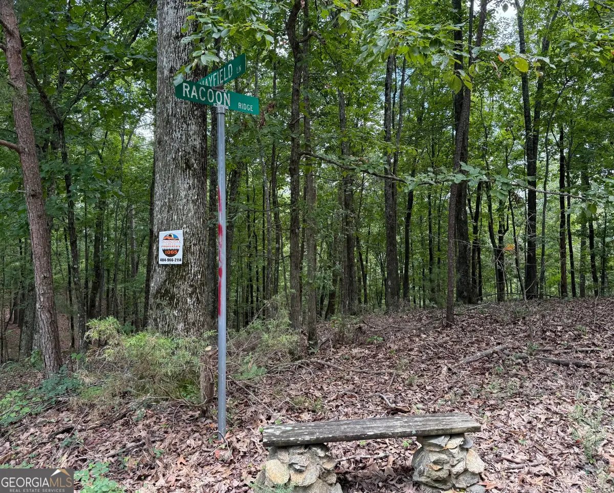 LOT 1065 Mayfield Lane, Ranger, GA 30734 - #1