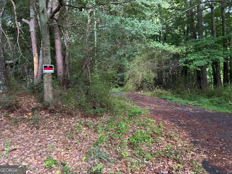 5420 Cantrell Road, Dawsonville, GA 30534 - #2