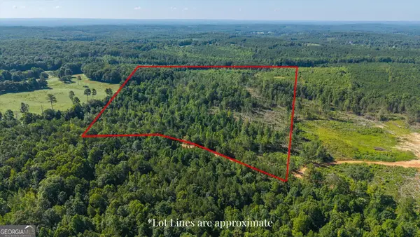 0 County Road 404 #TRACT 1, Heflin, AL 36264