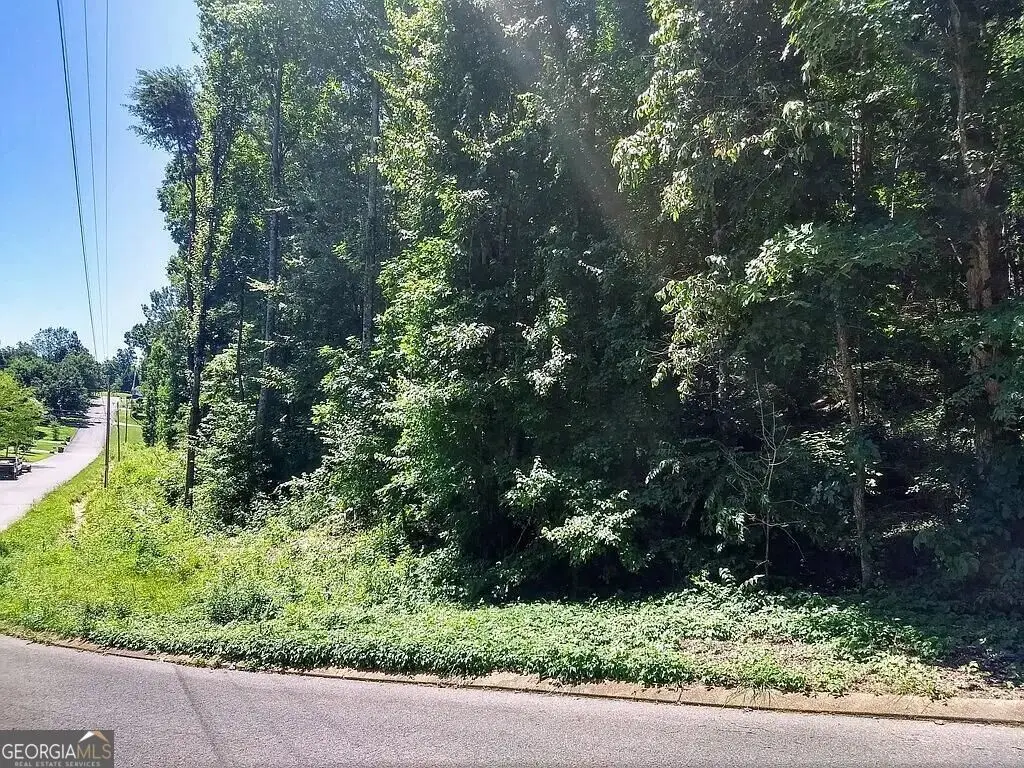 225 Hickory Ridge Trail, Ringgold, GA 30736 - #1