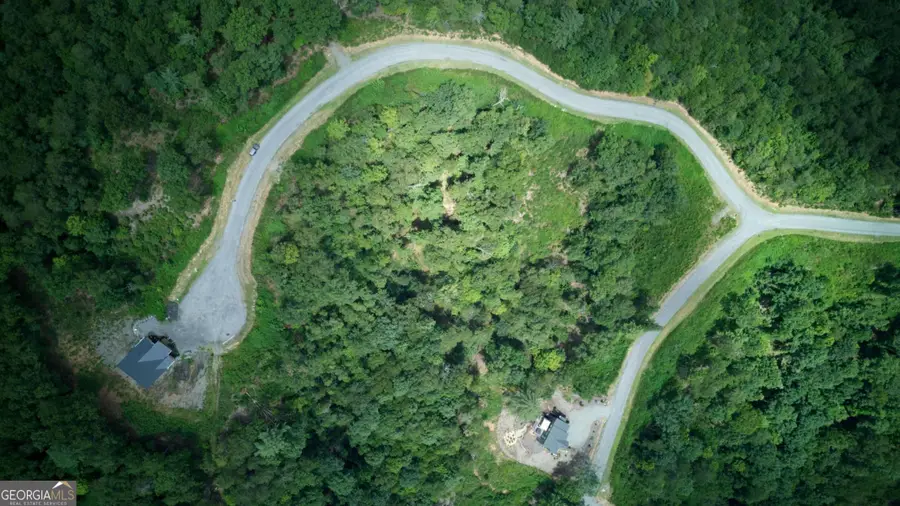 LOT 49 Mountain Laurel Ridge, Mineral Bluff, GA 30559 - #3