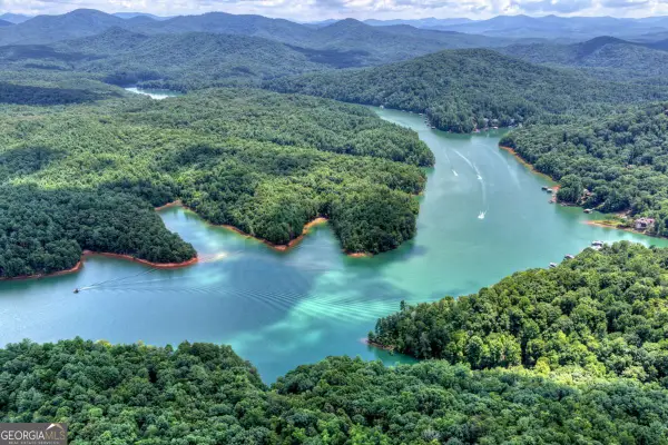 LT 60 Necowa Cove Overlook, Blue Ridge, GA 30513